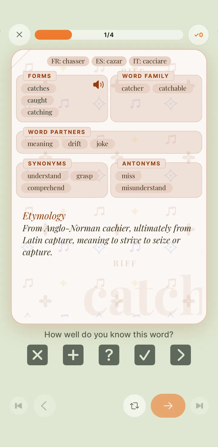 The back of a RIFF word card: synonyms, collocations, antonyms, forms, etymology and derivations