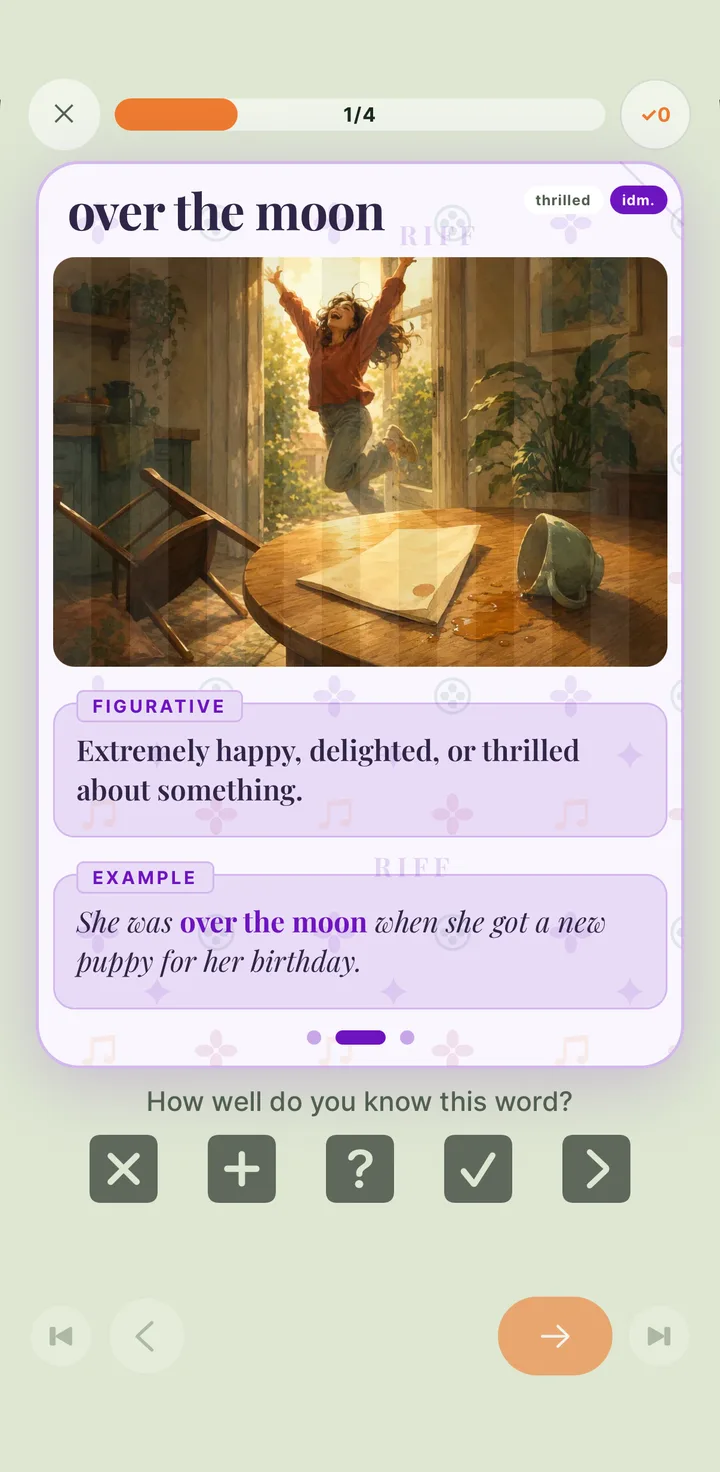 A RIFF idiom card: 'on board' with its meaning, image and a real example
